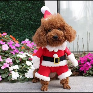 wonderday Disfraz de Navidad para Mascotas Disfraz de Navidad para Perros pequeños y Grandes Ropa de Navidad para Perro Traje de Papá Noel para Mascotas